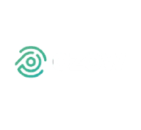 Ozow